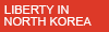 Liberty in North Korea